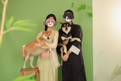 -孕视觉专业孕妇摄影(天津南开店)