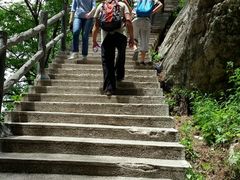 -王顺山国家森林公园