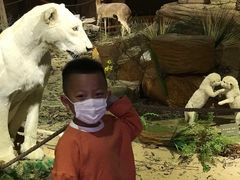 -陕西自然博物馆