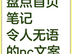 -新江湾城公园