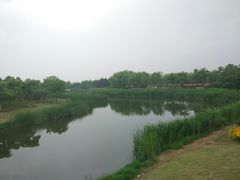 -尚贤河湿地
