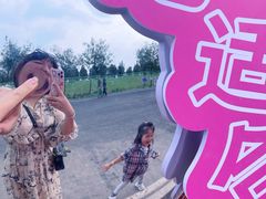 -天津东丽湖风景区