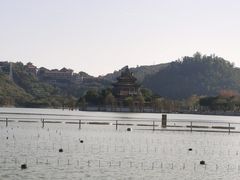 -顺峰山公园