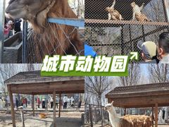 -长白岛森林公园