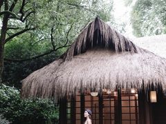 -中国茶叶博物馆(双峰馆区)