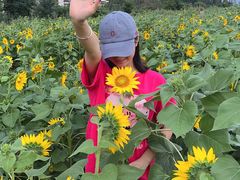 -云漫湖生态度假公园