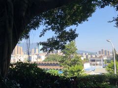 -金鸡山公园