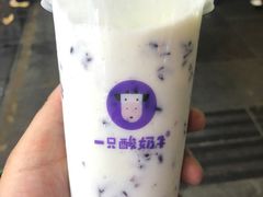-一只酸奶牛(八一路店)