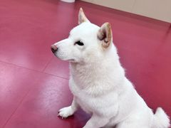 -和它·交个朋友·狗咖猫咖(爱琴海店)