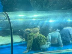 -福州罗源湾海洋世界旅游区