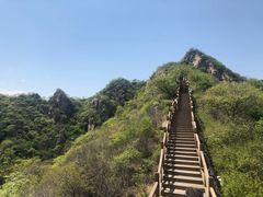 -大岭沟猕猴桃谷风景区