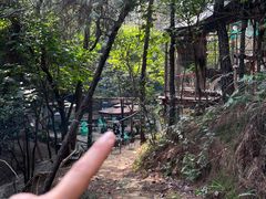 -南山植物园