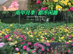 -大望京公园