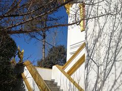 -洛阳白马寺