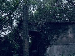 -上海佘山国家森林公园天马山园