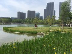 -西海子公园