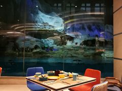 -帝企鹅自助餐厅•儿童岛•真企鹅(长隆企鹅酒店)