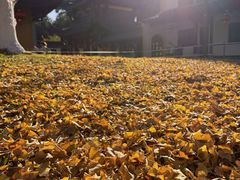 -溪口-滕头旅游景区