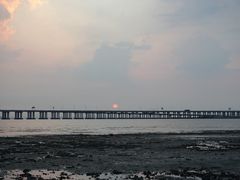 -宝安西湾红树林湿地公园