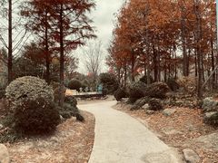 -上海长兴岛郊野公园