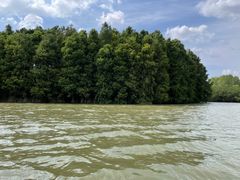 -上海海湾国家森林公园