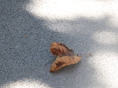 -阿姨奶茶专卖(舌涧道杭州惠民路创始店)