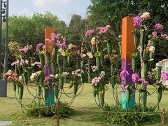 -云溪植物园