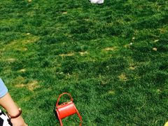 -祥源·阜阳生态乐园