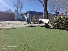 -宠物寄养训练学校
