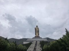 -中原大佛景区