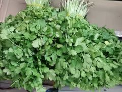 芹菜-菜老包(莘庄农贸市场店)