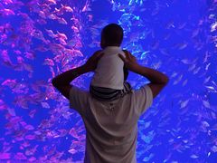 -成都浩海立方海洋公园