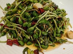 蒜炒豆苗-六合居·邯郸菜·武安菜起源地