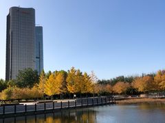 -大望京公园