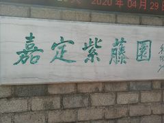 -嘉定紫藤园