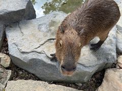 -宁波野生动物园