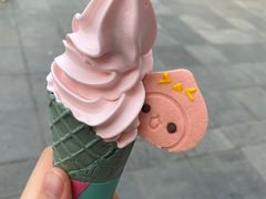 -麦当劳(石家庄北国店)