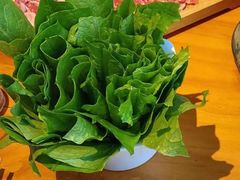 油麦菜-津门羊大爷铜锅涮肉(雅清街店)