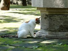 -四门塔风景区