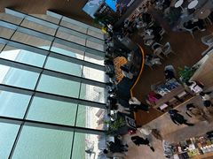 -抱抱地球咖啡馆(国家海洋博物馆店)