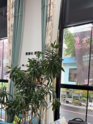 -爱儿美儿童摄影亲子馆(五路居店)