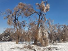 -长春市南湖公园