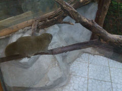 android_upload_pic-上海大自然野生昆虫馆