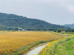 -风云岭森林公园