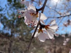 -滨河世纪广场公园