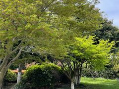 -石湖景区