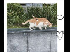 -Wagas沃歌斯(大学路店)