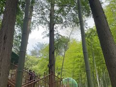 -东明山森林公园