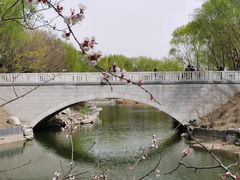 -大兴滨河森林公园