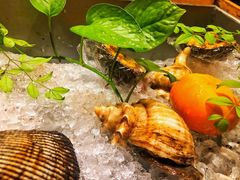-希望日本料理(保利香槟花园店)